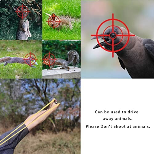 Images of animals with targeting overlays and a slingshot.