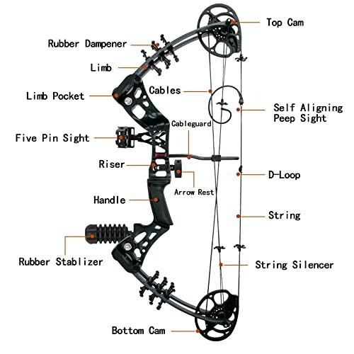 Labeled diagram of a compound bow showing parts like cams, sight, and stabilizer.